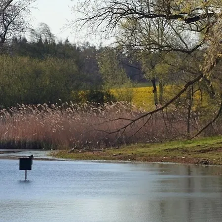 Apartament Bellevue Mitte *