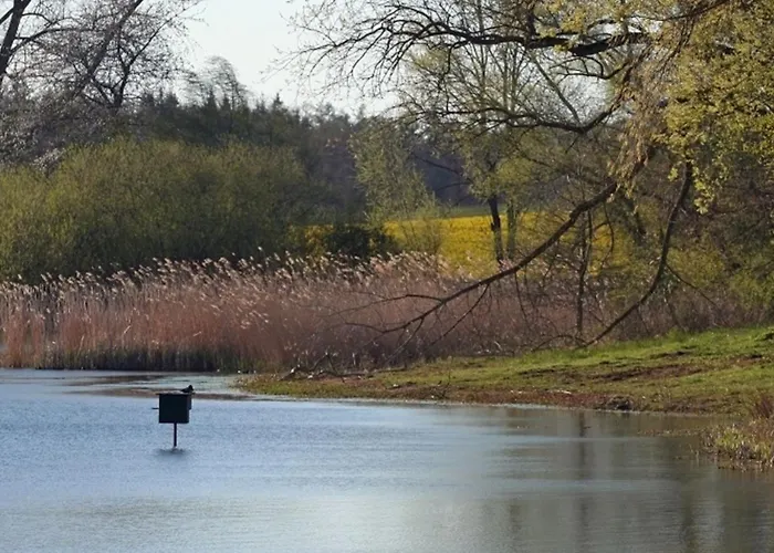 Apartamento Bellevue Mitte *