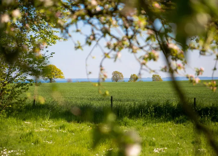 Apartamento Bellevue Mitte Schashagen
